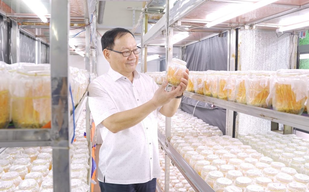 NSND Tiến Đạt, khách hàng thân thiết của của CordyHappy, thăm quan phòng nuôi trồng Đông trùng Hạ thảo tươi, tháng 8 năm 2020.