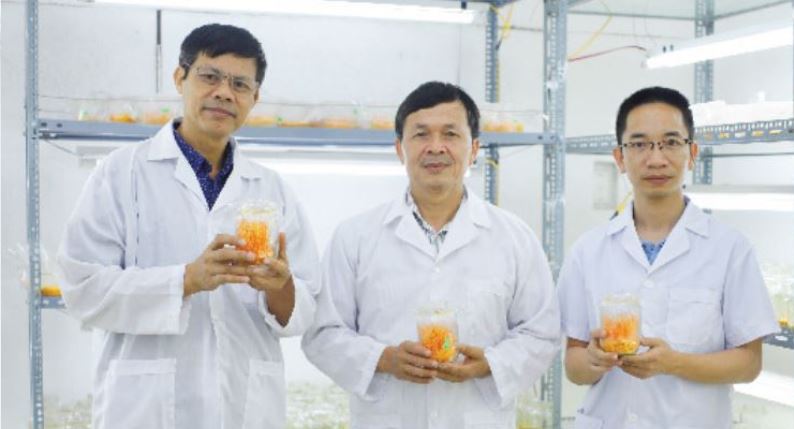 tác dụng của đông trùng hạ thảo