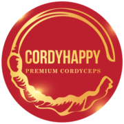 cordyhappy.vn