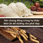 Yến chưng đông trùng hạ thảo