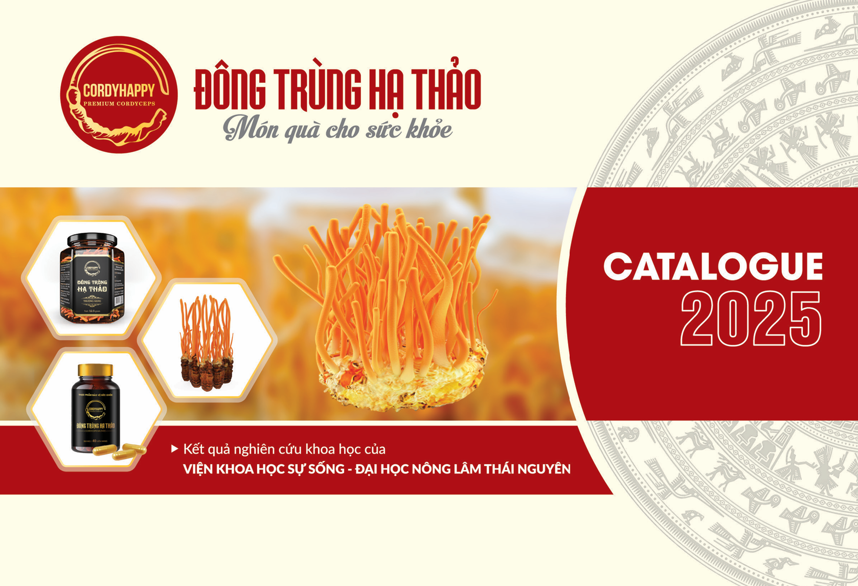 Catalogue giới thiệu sản phẩm Đông trùng Hạ thảo CordyHappy